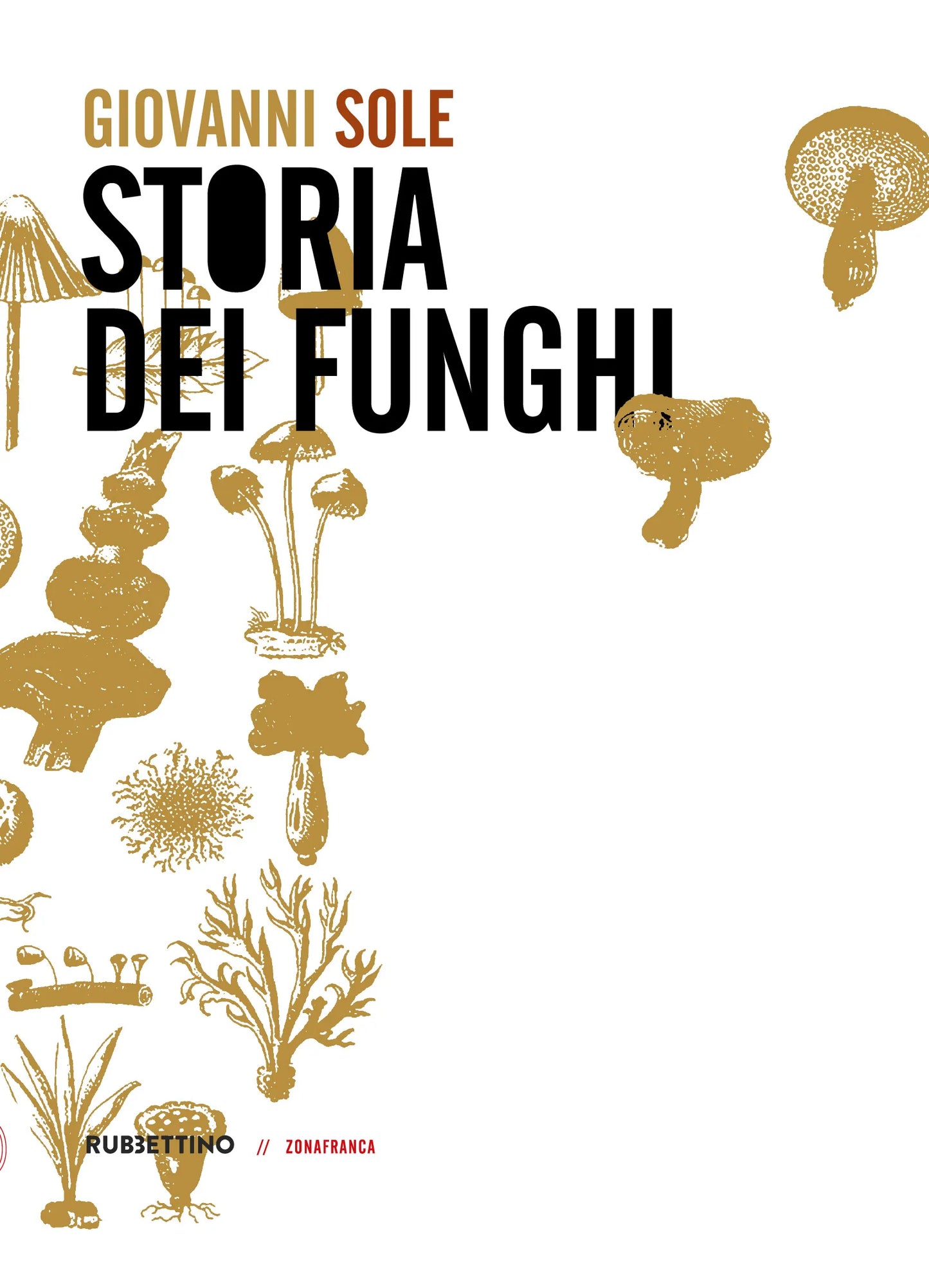 Giovanni Sole - Storia dei funghi