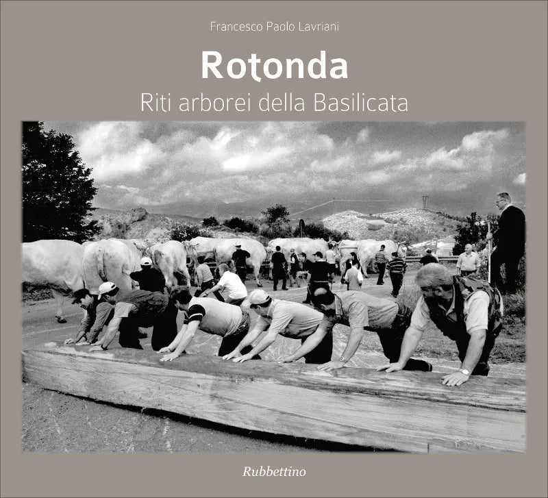 Francesco Paolo Lavriani - Rotonda