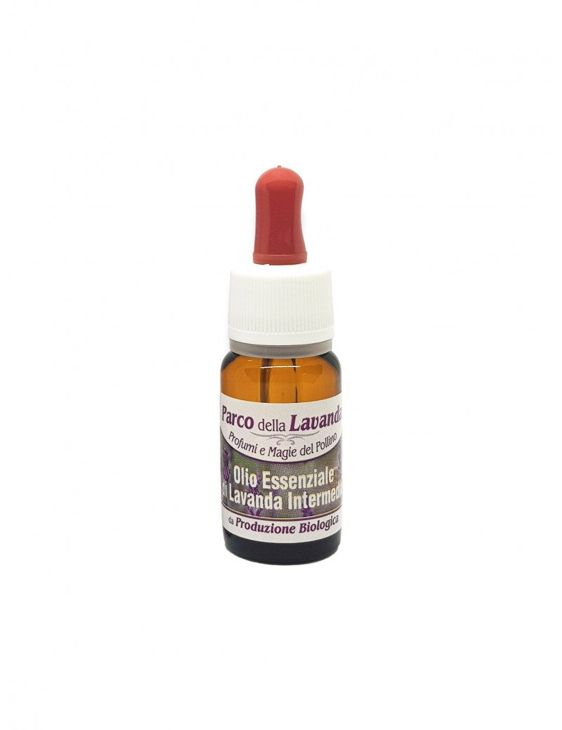 Olio Essenziale di Lavanda Intermedia