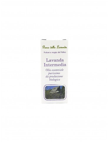 Olio Essenziale di Lavanda Intermedia