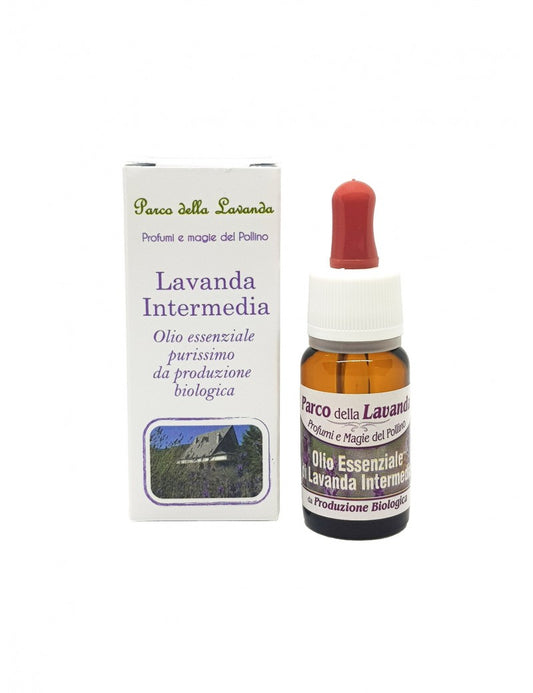 Olio Essenziale di Lavanda Intermedia